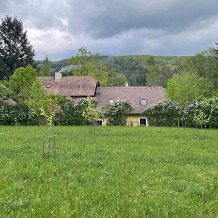 Bed&Breakfast Im Gruenen Nah An Wien Brettwies 外观 照片