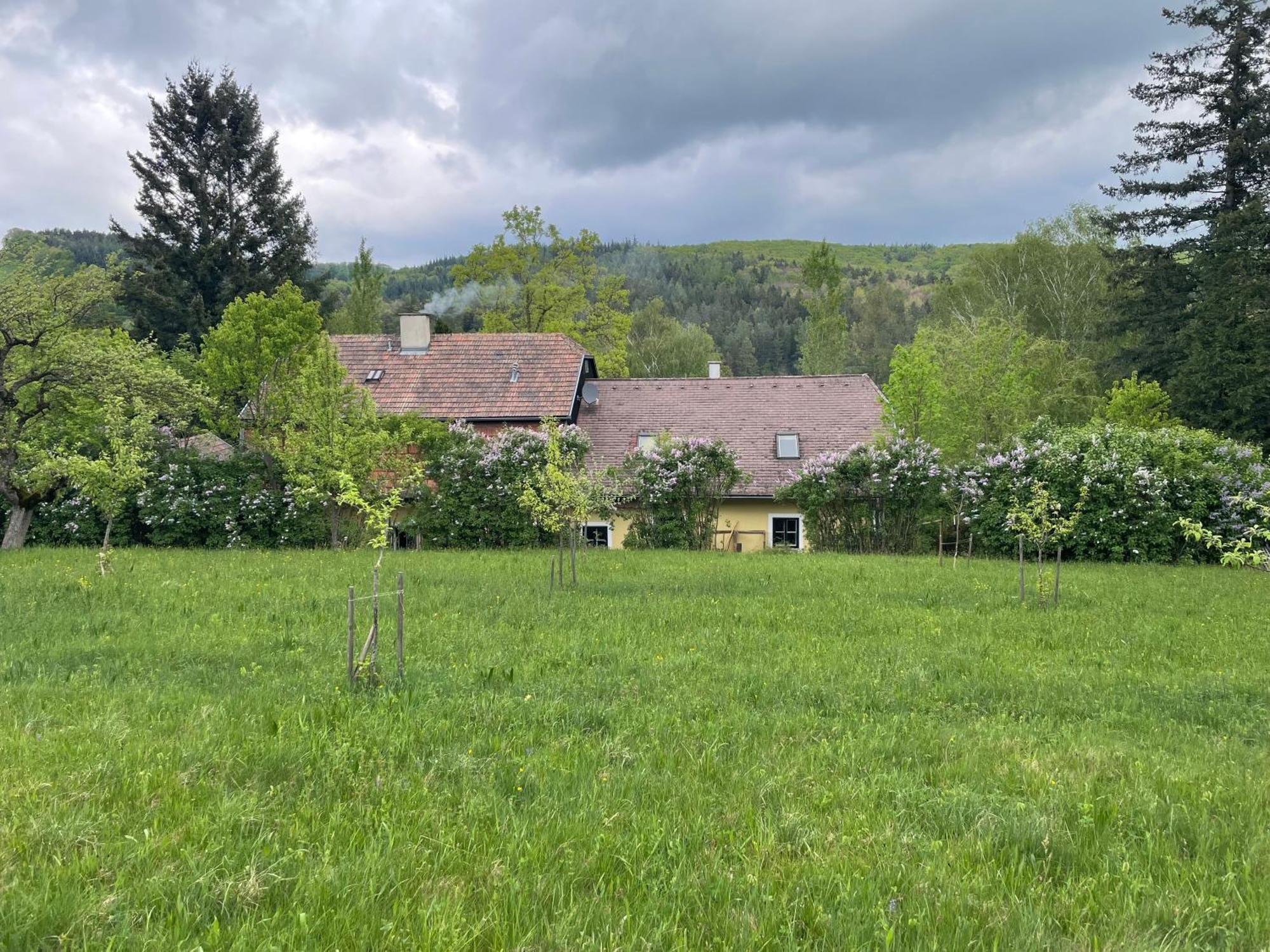 Bed&Breakfast Im Gruenen Nah An Wien Brettwies 外观 照片