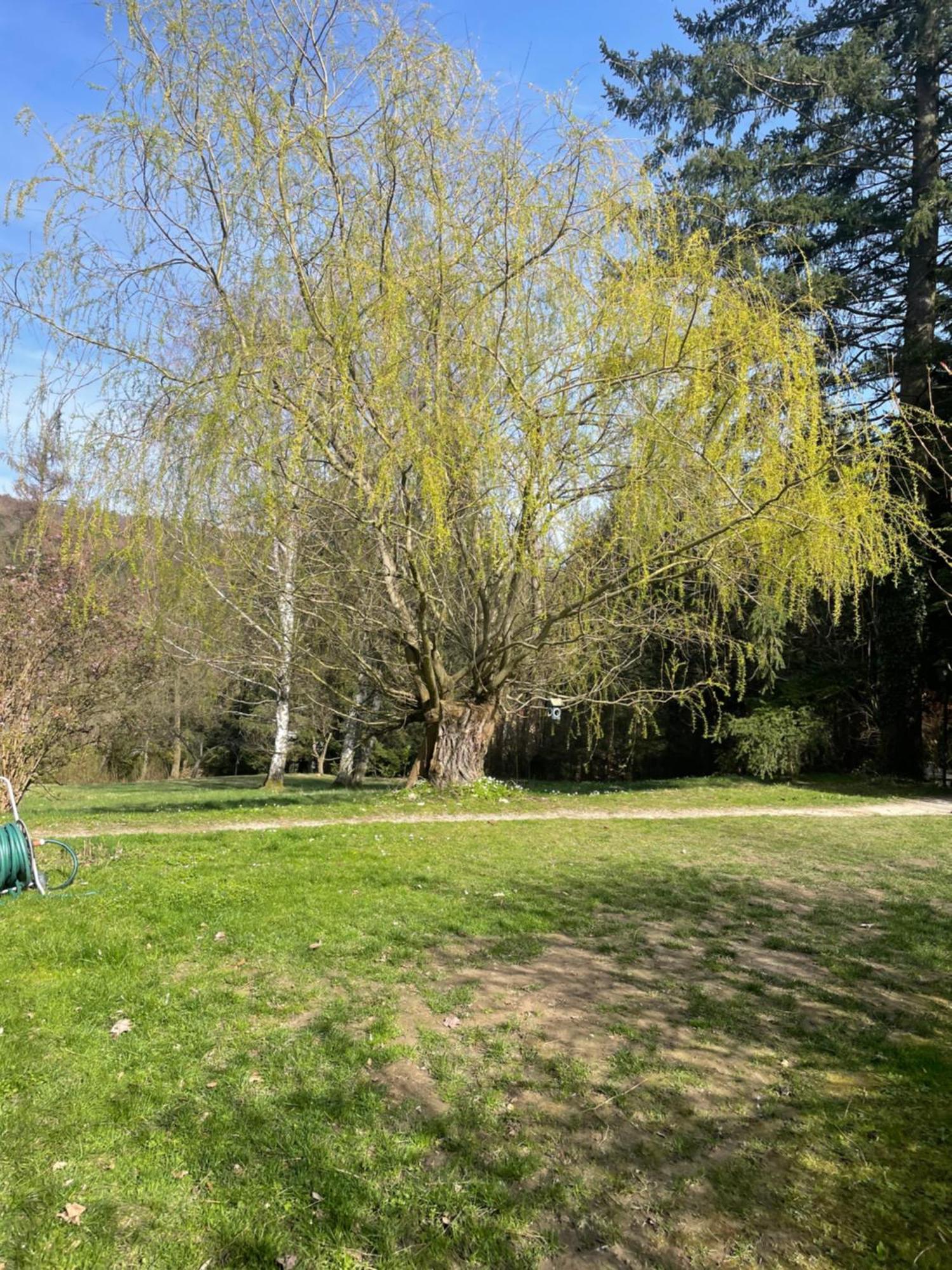 Bed&Breakfast Im Gruenen Nah An Wien Brettwies 外观 照片